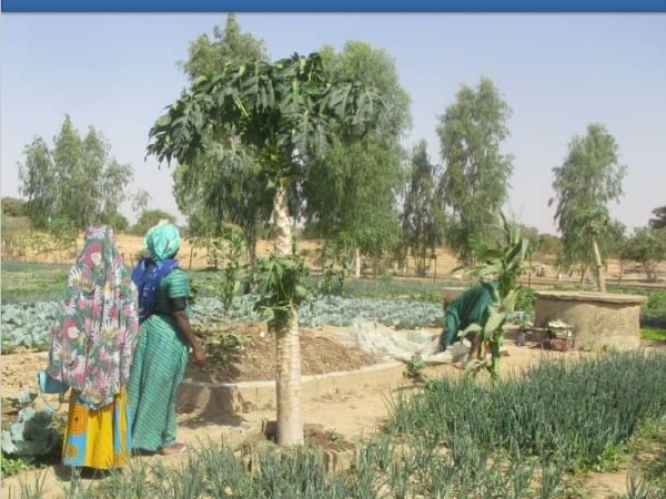 Guide Operationnel Specifique Au Domaine Eau – Hygiene –&nbsp;Assainissement